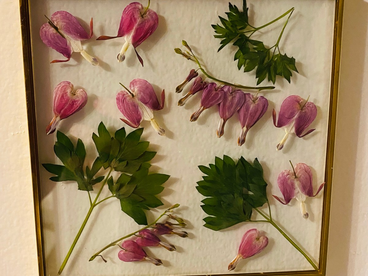 Pressed Flower Wall&nbsp;Art